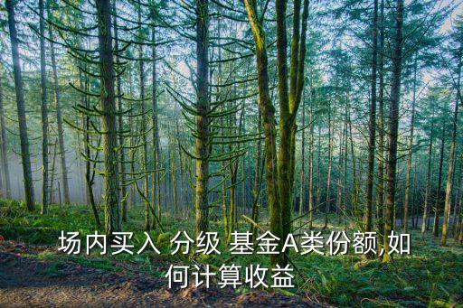 場內分級基金a投資策略,場內基金投資策略技巧
