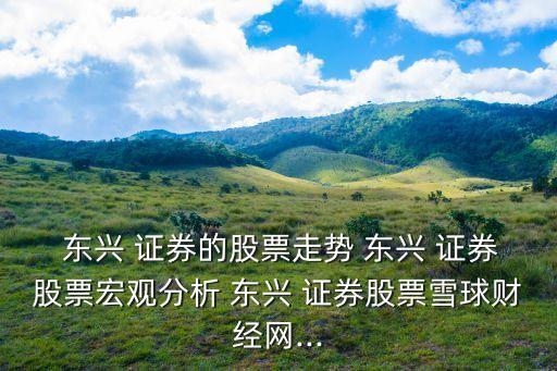  東興 證券的股票走勢 東興 證券股票宏觀分析 東興 證券股票雪球財經網...