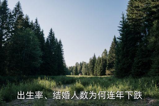 出生率、結(jié)婚人數(shù)為何連年下跌