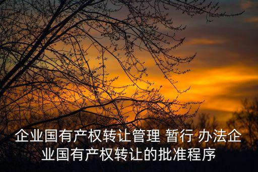企業(yè)國有產(chǎn)權(quán)轉(zhuǎn)讓管理 暫行 辦法企業(yè)國有產(chǎn)權(quán)轉(zhuǎn)讓的批準程序