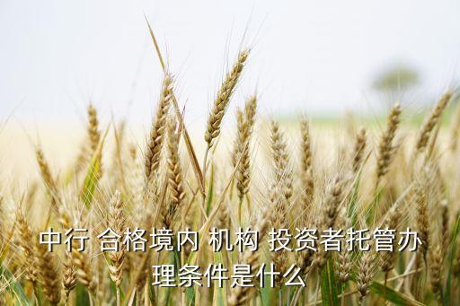 中行 合格境內 機構 投資者托管辦理條件是什么