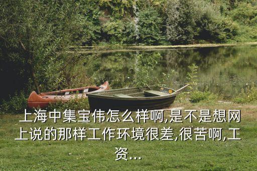  上海中集寶偉怎么樣啊,是不是想網(wǎng)上說(shuō)的那樣工作環(huán)境很差,很苦啊,工資...