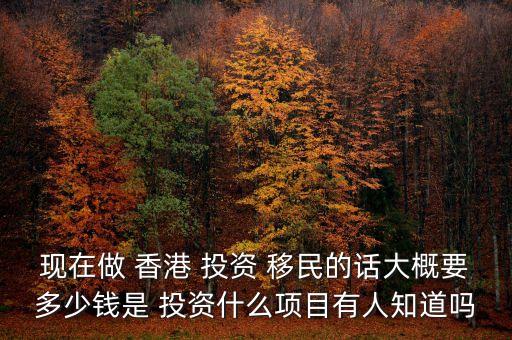 香港投資移民的可投資資產(chǎn)范疇,香港1000萬(wàn)投資移民投資范圍