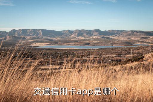 交通信用卡app是哪個(gè)