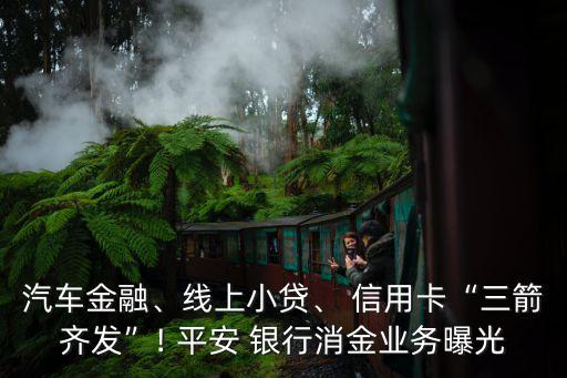 汽車(chē)金融、線(xiàn)上小貸、 信用卡“三箭齊發(fā)”! 平安 銀行消金業(yè)務(wù)曝光