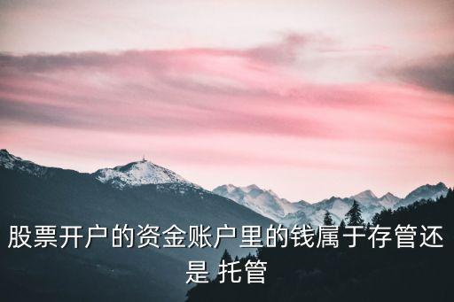 股票開戶的資金賬戶里的錢屬于存管還是 托管