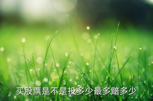 買(mǎi)股票是不是投多少最多賠多少