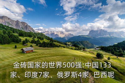 金磚國家的世界500強(qiáng):中國133家、印度7家、俄羅斯4家, 巴西呢