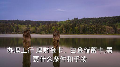 辦理工行 理財金卡、白金儲蓄卡,需要什么條件和手續(xù)