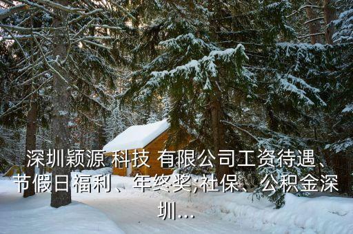 深圳穎源 科技 有限公司工資待遇、節(jié)假日福利、年終獎;社保、公積金深圳...