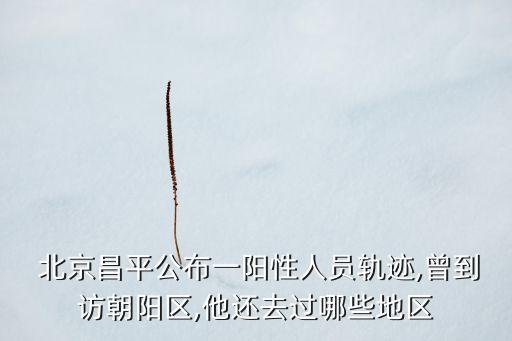  北京昌平公布一陽(yáng)性人員軌跡,曾到訪(fǎng)朝陽(yáng)區(qū),他還去過(guò)哪些地區(qū)
