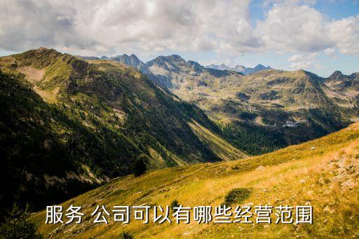 房地產(chǎn)公司運(yùn)營(yíng)簡(jiǎn)報(bào)