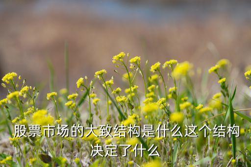  股票市場(chǎng)的大致結(jié)構(gòu)是什么這個(gè)結(jié)構(gòu)決定了什么