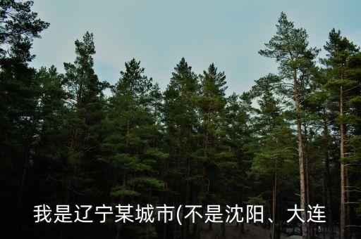 我是遼寧某城市(不是沈陽、大連