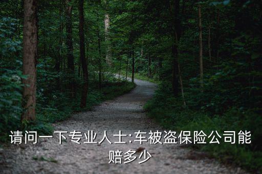 請(qǐng)問(wèn)一下專業(yè)人士:車被盜保險(xiǎn)公司能賠多少