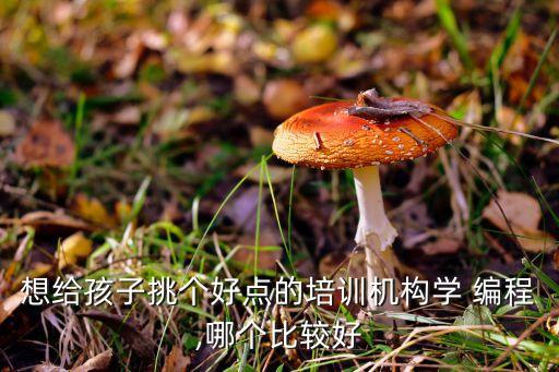 想給孩子挑個好點的培訓機構學 編程,哪個比較好