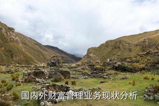 國(guó)內(nèi)外財(cái)富管理業(yè)務(wù)現(xiàn)狀分析