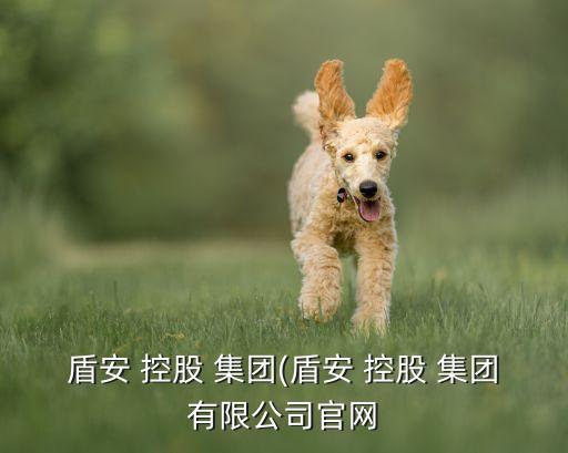 愛(ài)康富羅納金融控股集團(tuán)