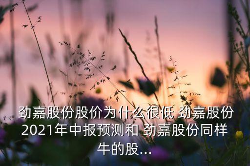  勁嘉股份股價為什么很低 勁嘉股份2021年中報預(yù)測和 勁嘉股份同樣牛的股...