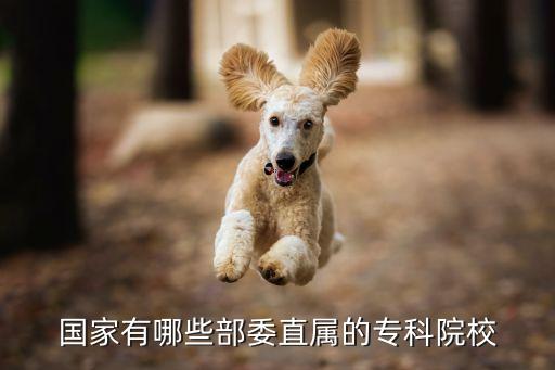 國家有哪些部委直屬的?？圃盒? class=