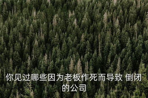 你見(jiàn)過(guò)哪些因?yàn)槔习遄魉蓝鴮?dǎo)致 倒閉的公司
