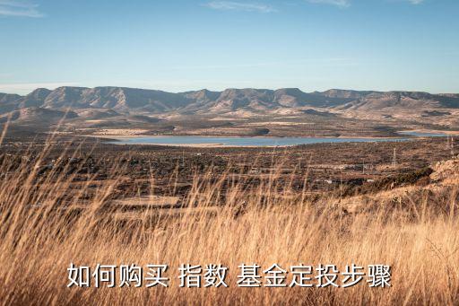 港股h指數(shù)基金怎么買(mǎi),港股指數(shù)基金一覽表