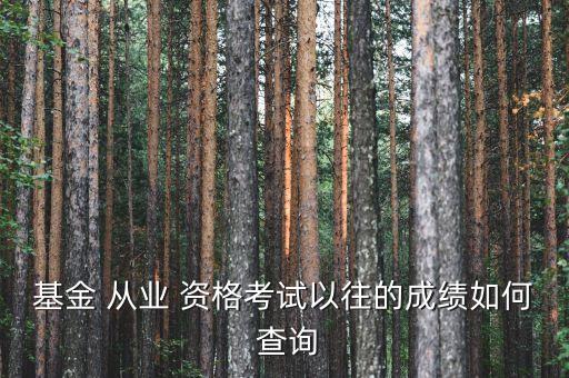 基金銷售人員從業(yè)資格證書(shū)查詢,amac基金從業(yè)資格證書(shū)查詢