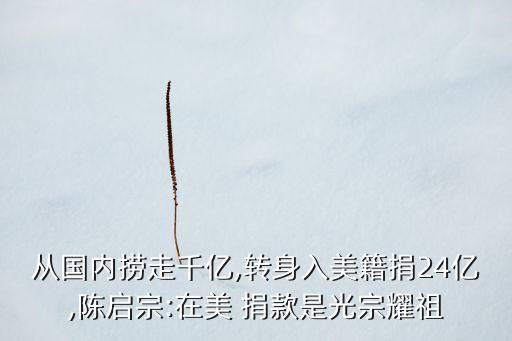 從國內撈走千億,轉身入美籍捐24億,陳啟宗:在美 捐款是光宗耀祖