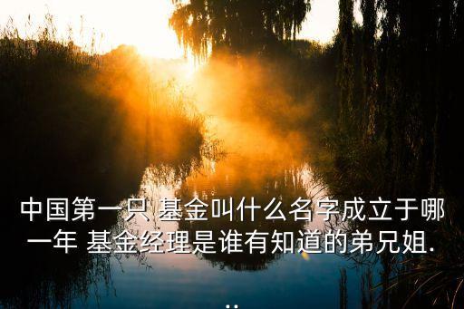 中國第一只 基金叫什么名字成立于哪一年 基金經理是誰有知道的弟兄姐...