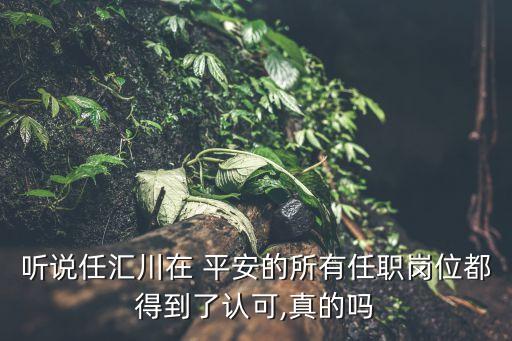 中國平安董事會風險管理委員會,董事會風險管理委員會的主要職責權限包括