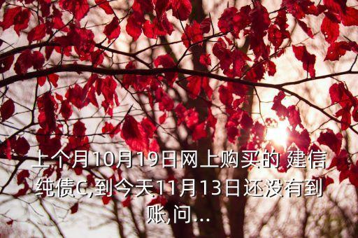 上個(gè)月10月19日網(wǎng)上購(gòu)買的 建信純債C,到今天11月13日還沒有到賬,問...
