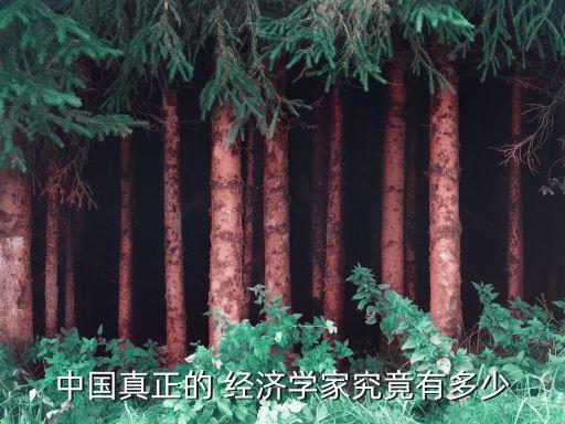 中國經濟學家有哪些,著名的經濟學家有哪些