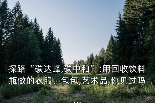探路“碳達峰,碳中和”:用回收飲料瓶做的衣服、包包,藝術品,你見過嗎...