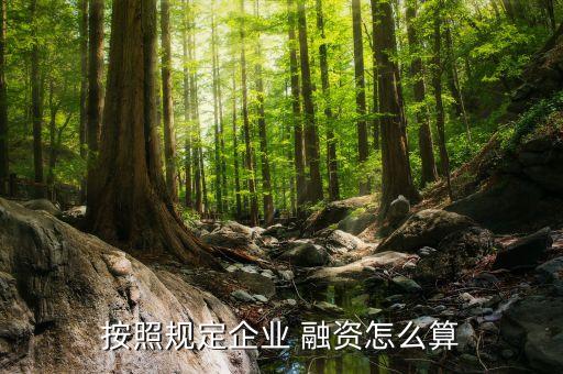 公司融資比例,融資公司有哪些