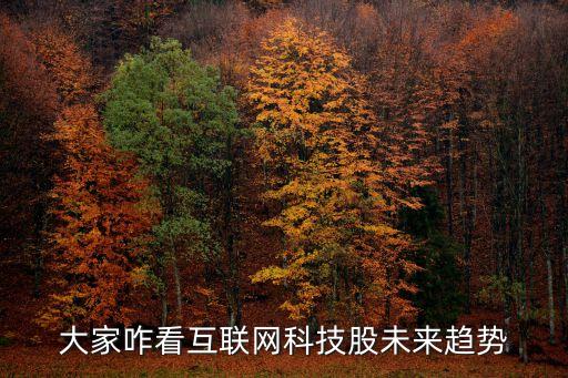 大家咋看互聯(lián)網(wǎng)科技股未來趨勢(shì)