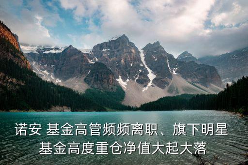諾安 基金高管頻頻離職、旗下明星 基金高度重倉凈值大起大落