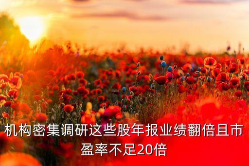 機構密集調(diào)研這些股年報業(yè)績翻倍且市盈率不足20倍