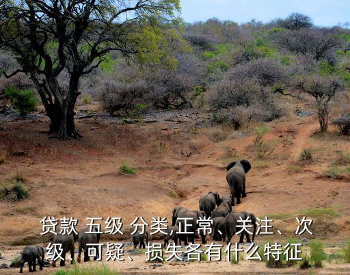  貸款 五級(jí) 分類,正常、關(guān)注、次級(jí)、可疑、損失各有什么特征