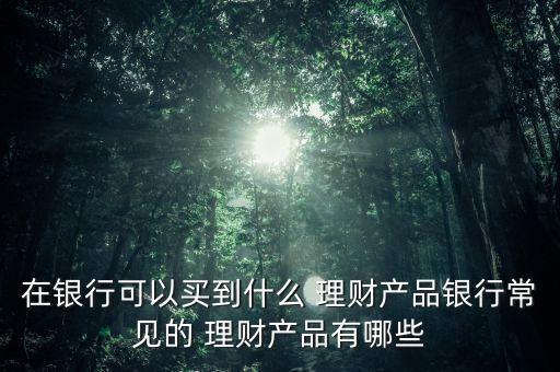 在銀行可以買到什么 理財(cái)產(chǎn)品銀行常見的 理財(cái)產(chǎn)品有哪些