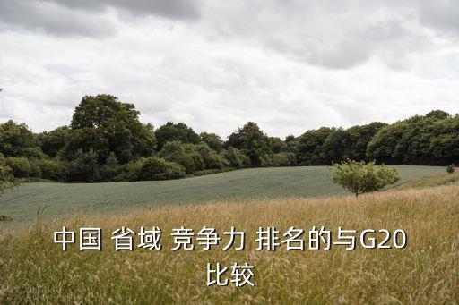 中國 省域 競(jìng)爭(zhēng)力 排名的與G20比較