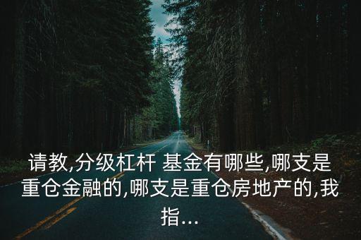 請(qǐng)教,分級(jí)杠桿 基金有哪些,哪支是重倉金融的,哪支是重倉房地產(chǎn)的,我指...