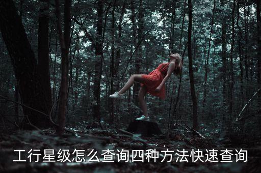 工行星級(jí)怎么查詢(xún)四種方法快速查詢(xún)