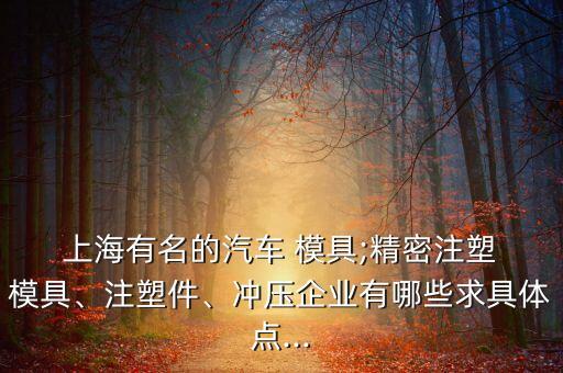  上海有名的汽車 模具;精密注塑 模具、注塑件、沖壓企業(yè)有哪些求具體點...