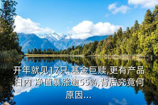 開年就見17只 基金巨贖,更有產(chǎn)品日內 凈值暴漲逾55%,背后究竟何原因...