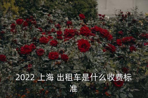 上海個(gè)體出租車回購