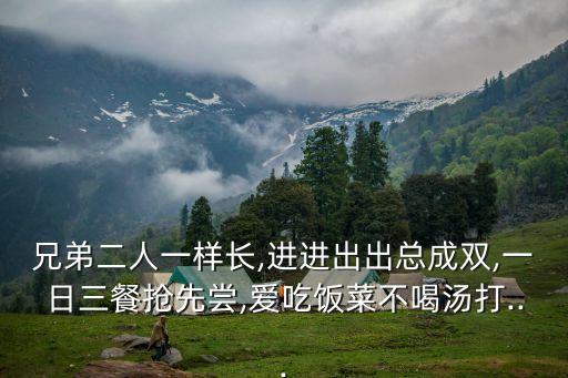 兄弟二人一樣長,進進出出總成雙,一日三餐搶先嘗,愛吃飯菜不喝湯打...
