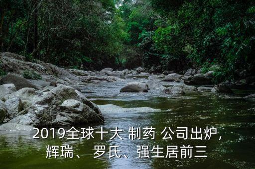 2019全球十大 制藥 公司出爐,輝瑞、 羅氏、強生居前三