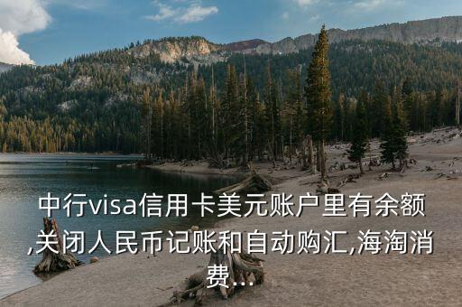 中行visa信用卡美元賬戶(hù)里有余額,關(guān)閉人民幣記賬和自動(dòng)購(gòu)匯,海淘消費(fèi)...