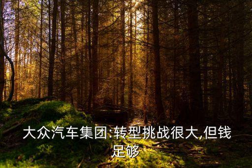  大眾汽車集團(tuán):轉(zhuǎn)型挑戰(zhàn)很大,但錢足夠