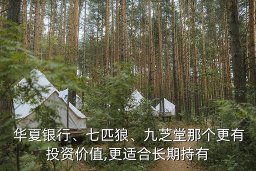  華夏銀行、七匹狼、九芝堂那個(gè)更有投資價(jià)值,更適合長期持有